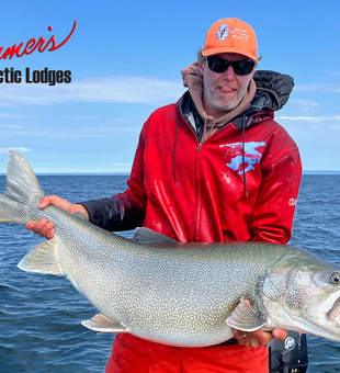 Yellowknife's Trophy Lake Trout